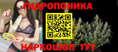 ешки Кингисепп