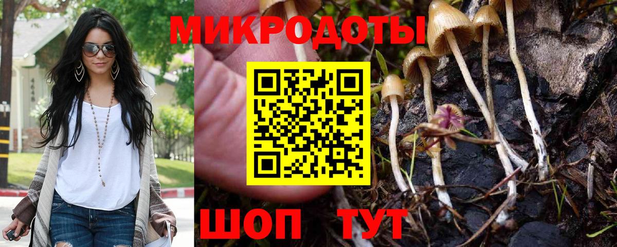 Галлюциногенные грибы GOLDEN TEACHER Электрогорск